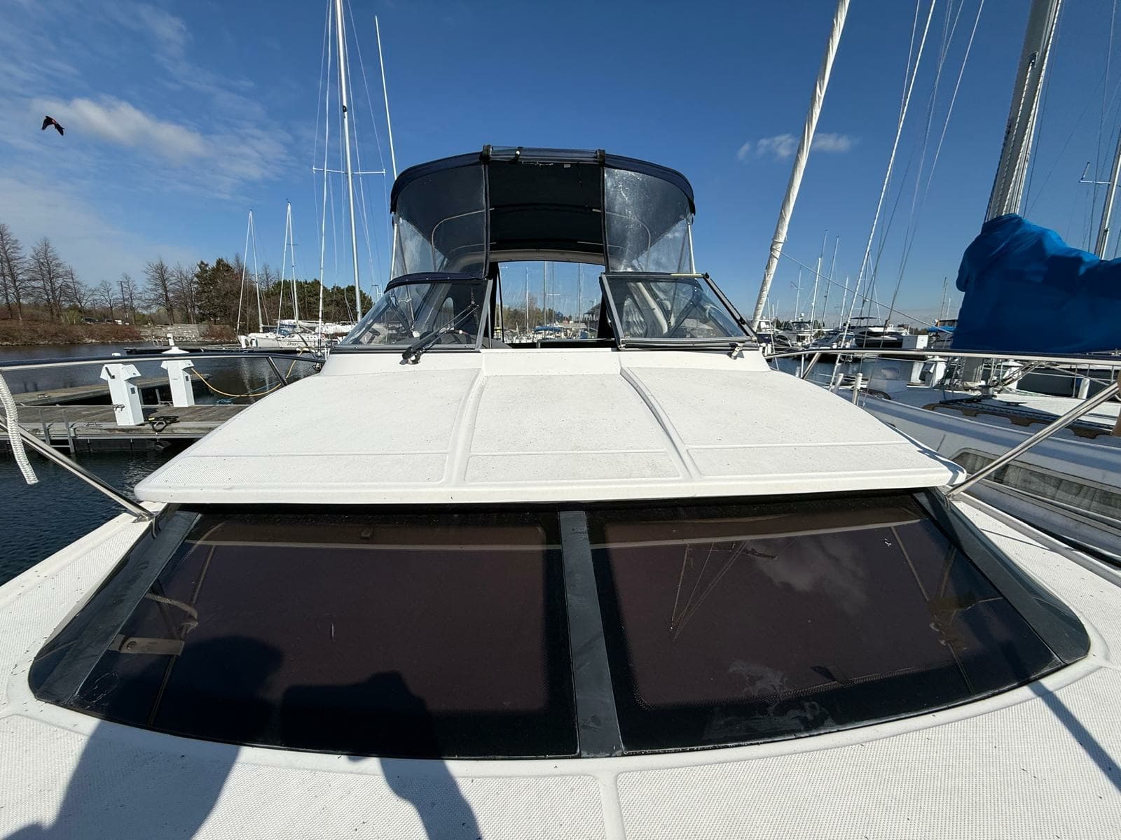 2008 Regal 2860 Window Express - Photo 39