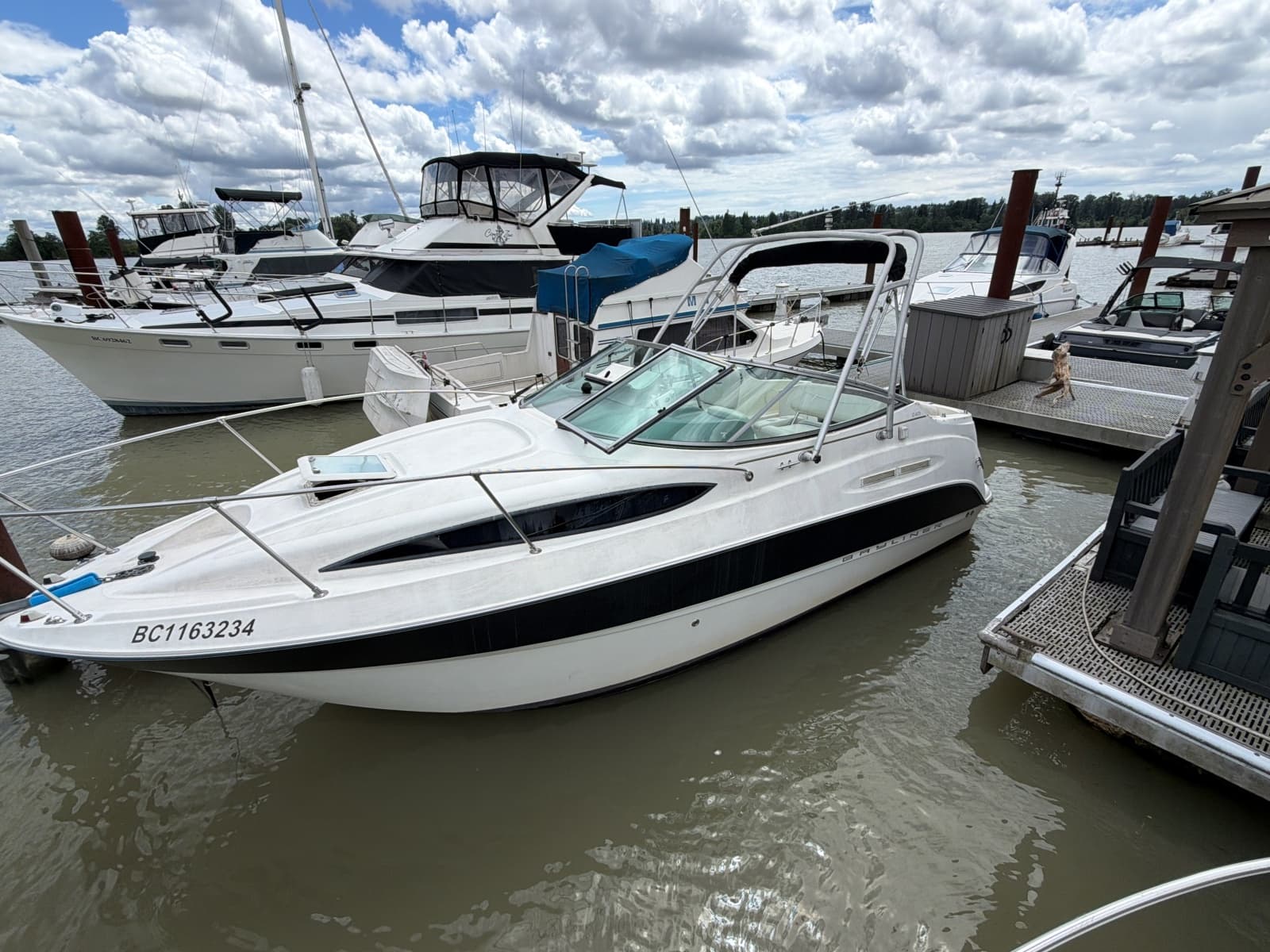 2007 Bayliner 245 - Photo 1