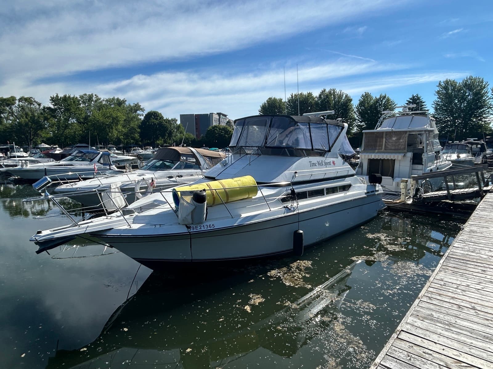 1990 Carver 380 Santego - Photo 7