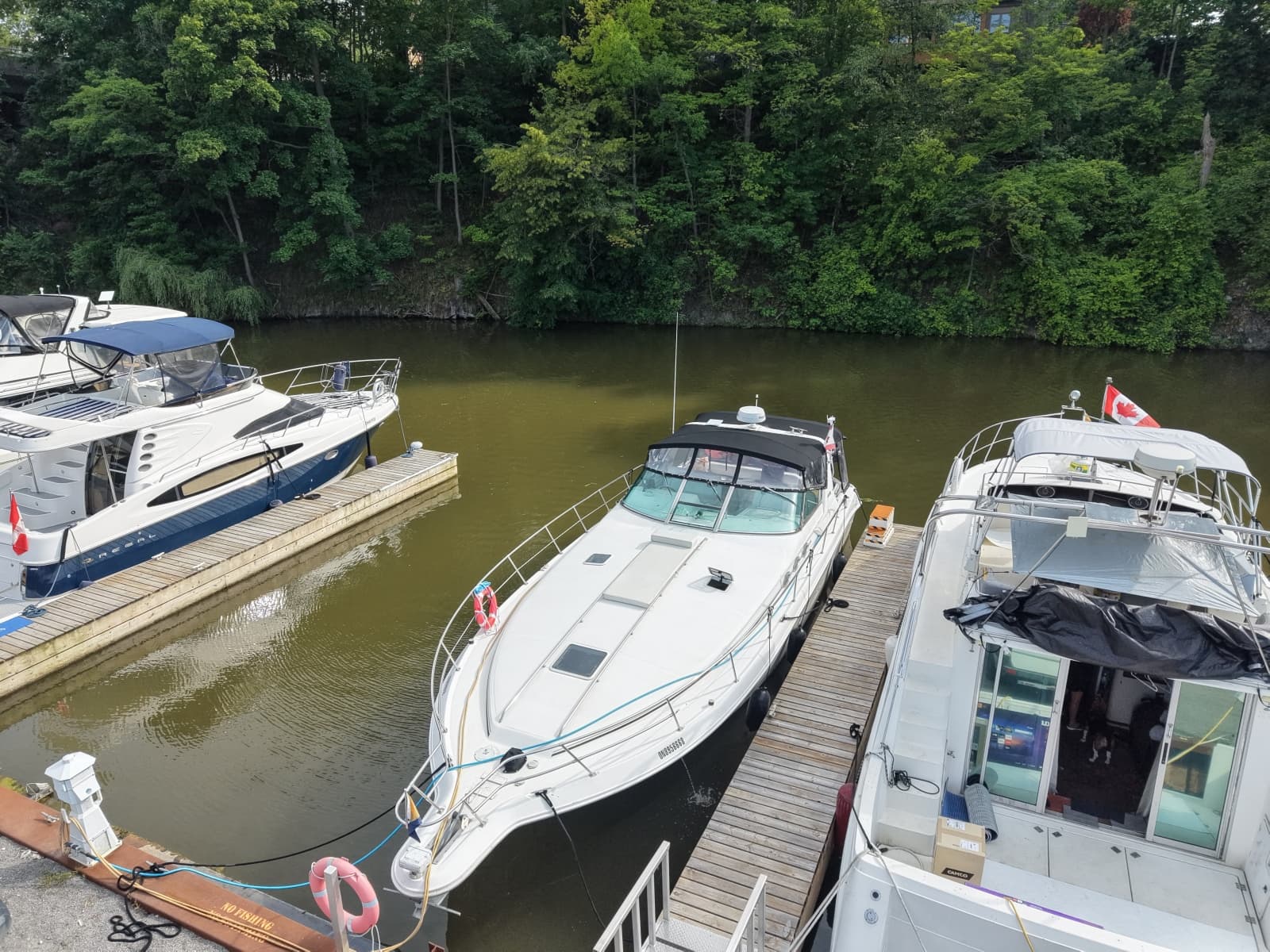 1998 Sea Ray 400 Express - Photo 5