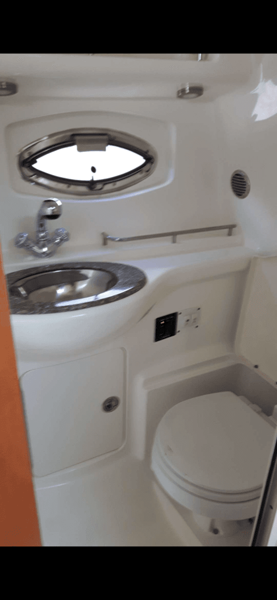 2008 Chaparral 290 Signature - Photo 17