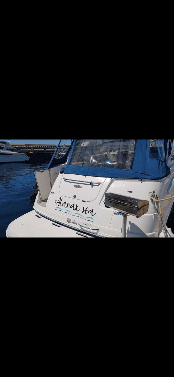 2008 Chaparral 290 Signature - Photo 6