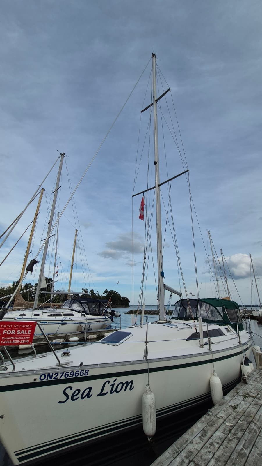 1988 Canadian Sailcraft CS 36 MERLIN - Photo 4