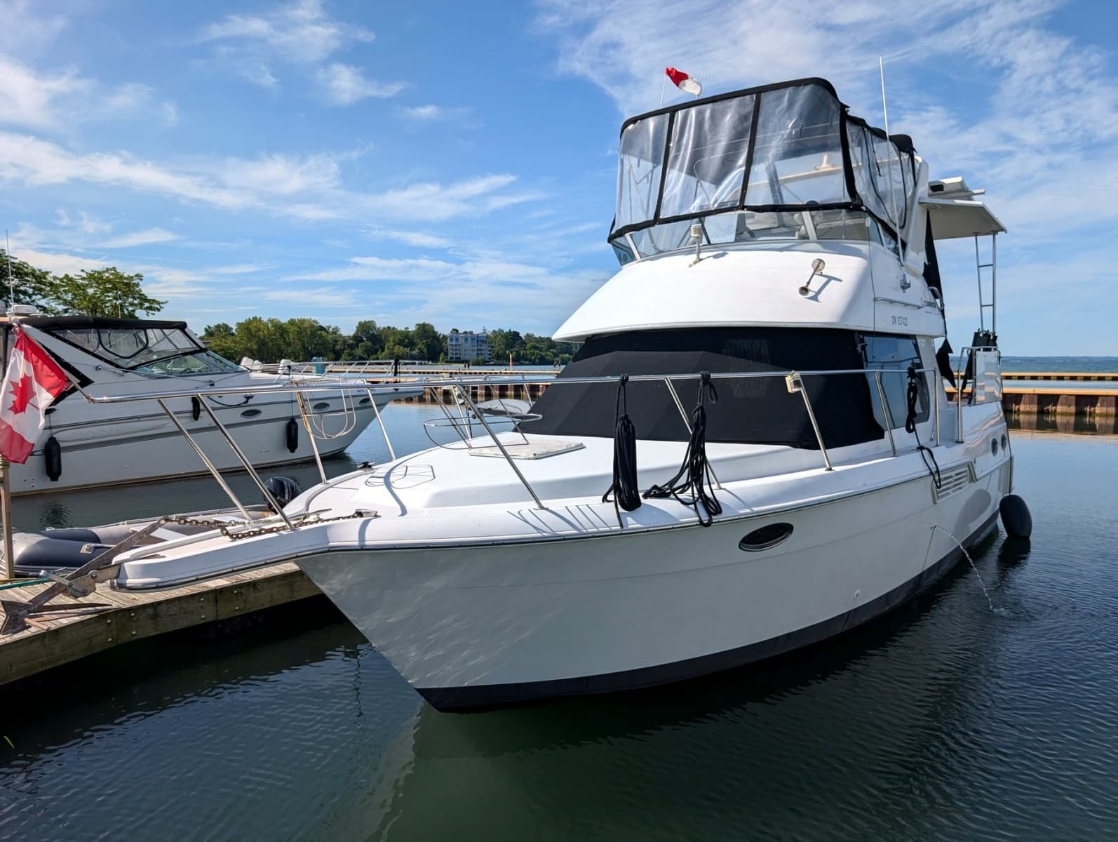 2001 Carver 326 Aft Cabin - Photo 3