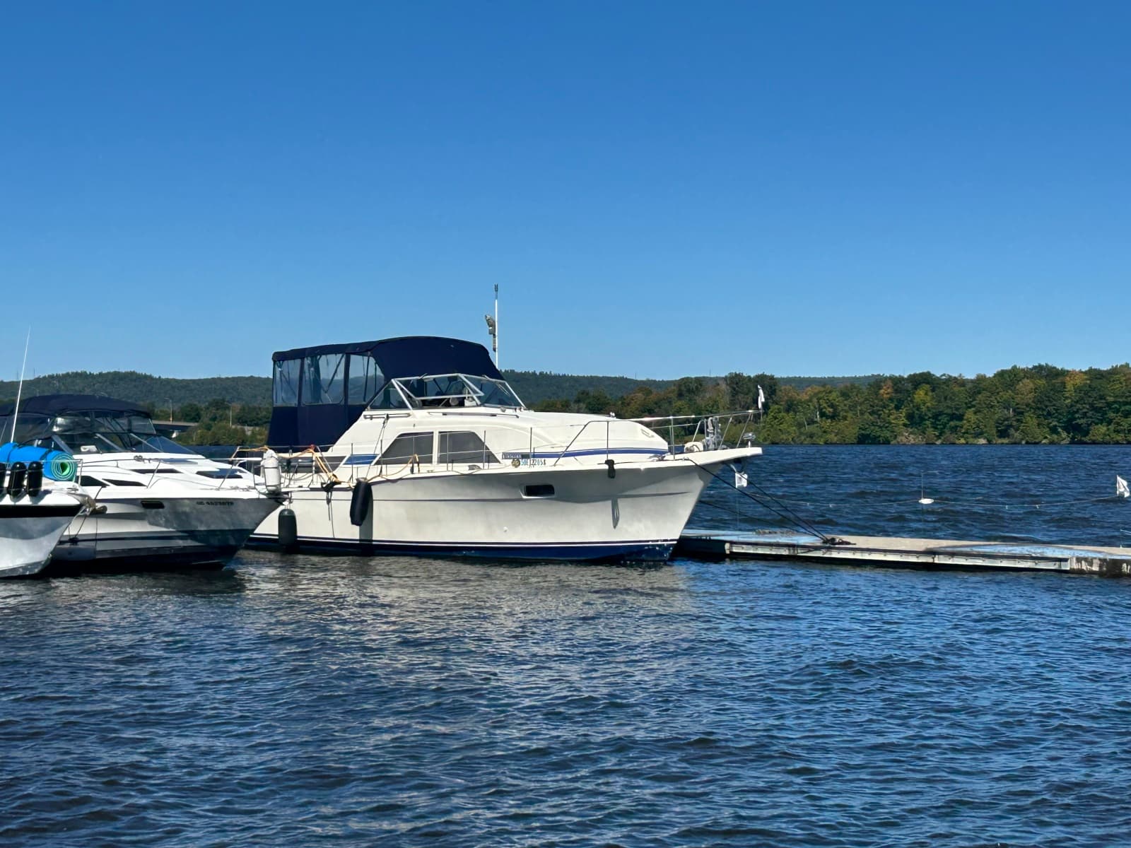 1976 Chris-Craft Catelina 350 - Photo 1
