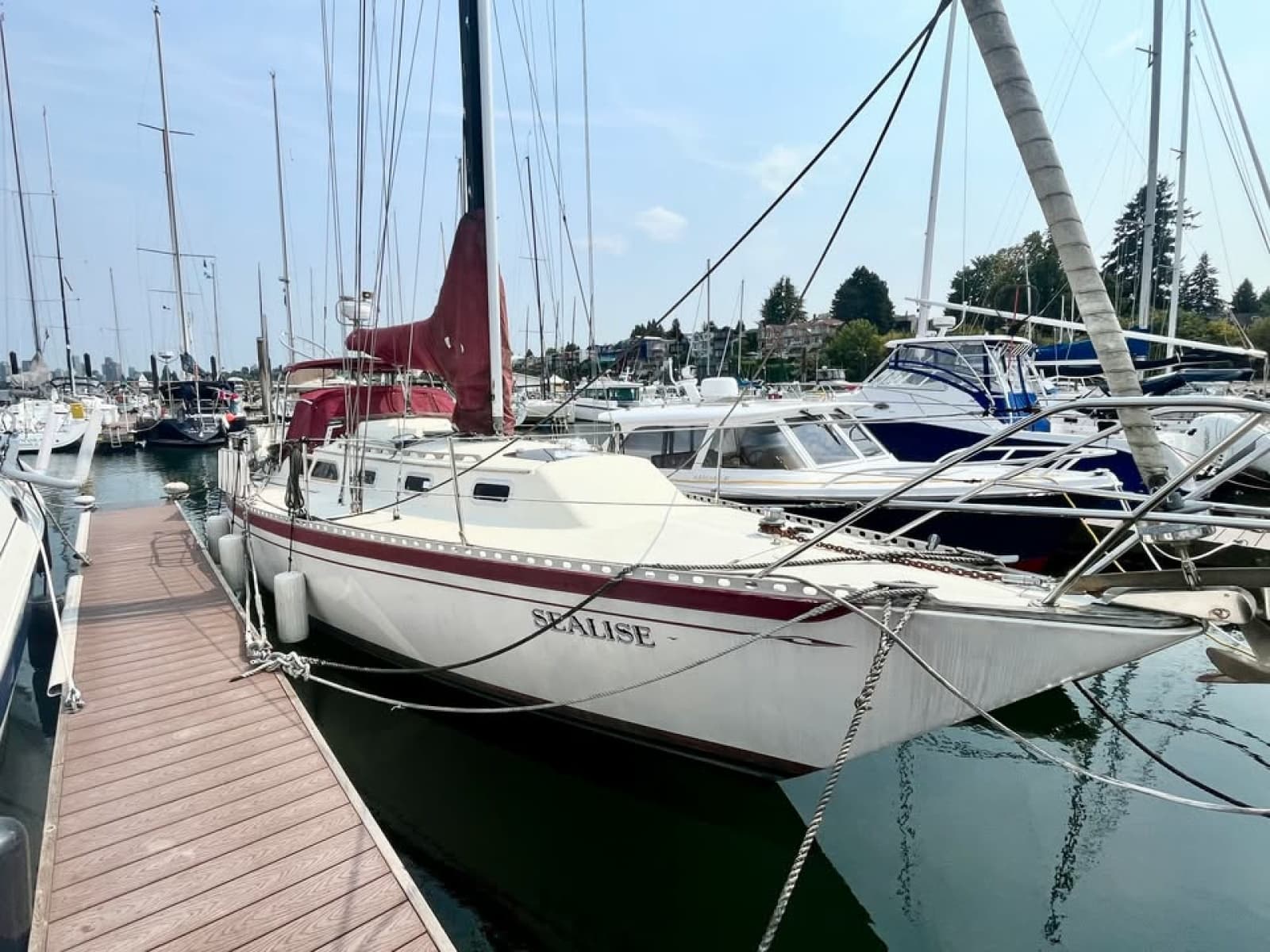 1981 Islander 36 - Photo 1