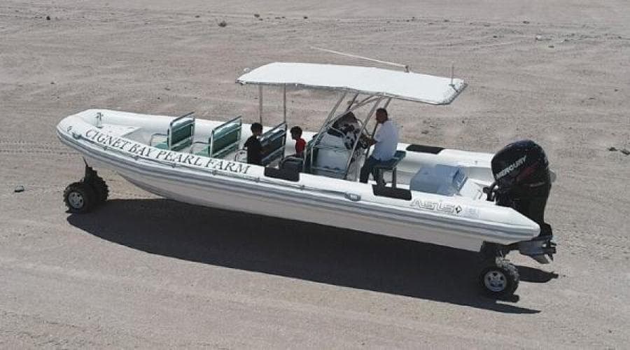 2022 Ocean Craft Marine Transport and Tour 9.5M