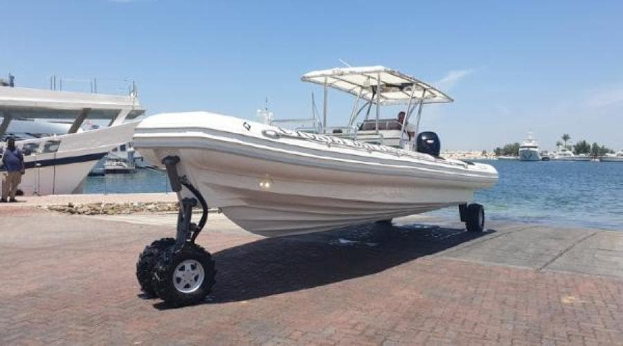 2022 Ocean Craft Marine Transport and Tour 9.5M