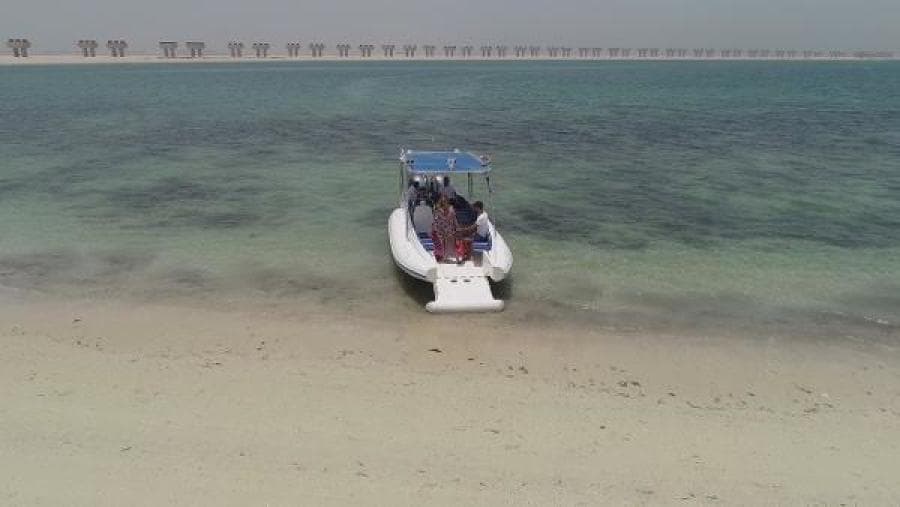 2022 Ocean Craft Marine Beachlander 8.75