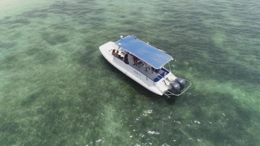 2022 Ocean Craft Marine Beachlander 8.75