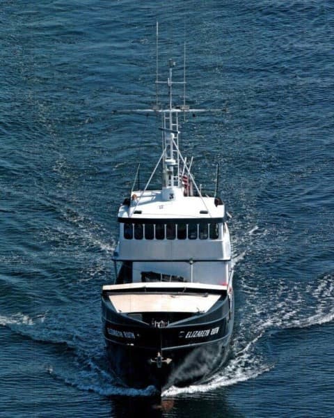 1991 Custom Robinson Modified Monk