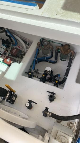 1984 Sunny Briggs Custom Carolina