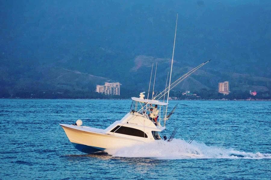 1984 Sunny Briggs Custom Carolina