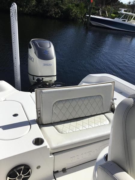 2019 Blue Wave Pure Hybrid