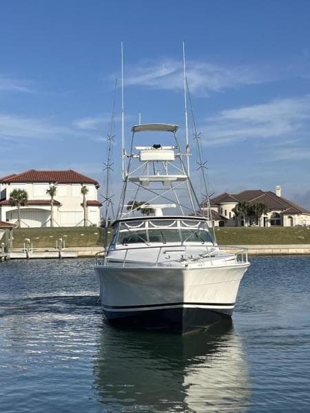 1993 Bertram 46 Moppie Lady Dianna