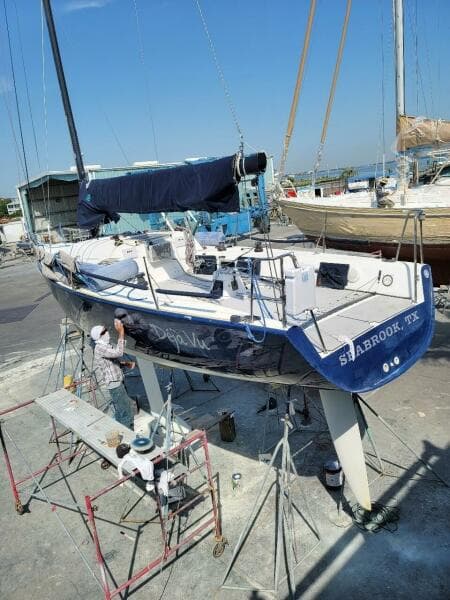 Deja Vu New Bottom 2021