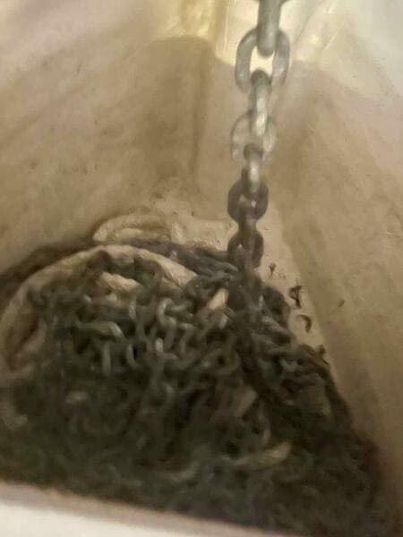 Great Harbour TT 35   Dilligaf      82