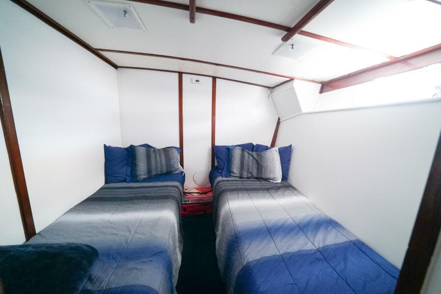 1979 Trojan 45 Convertible Hook'em