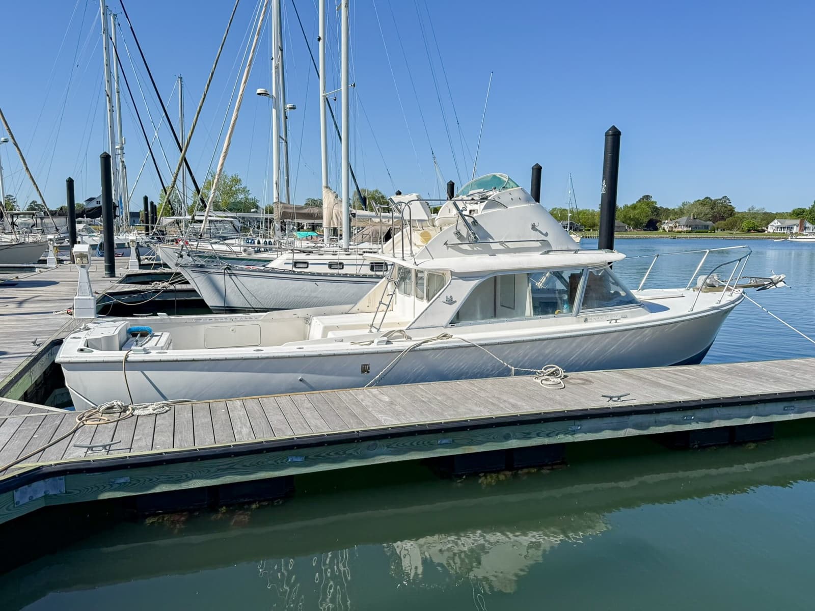 1972 Bertram Fly Bridge Cruiser - Photo 1