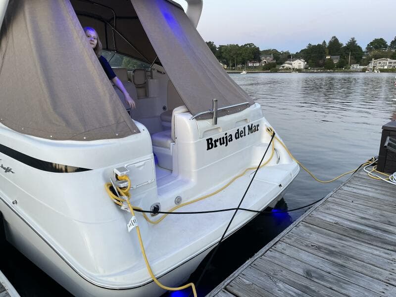 1998 Chris-Craft 320 Express Cruiser