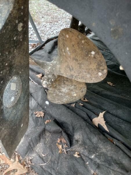 IMG_20230414_145630981_HDR