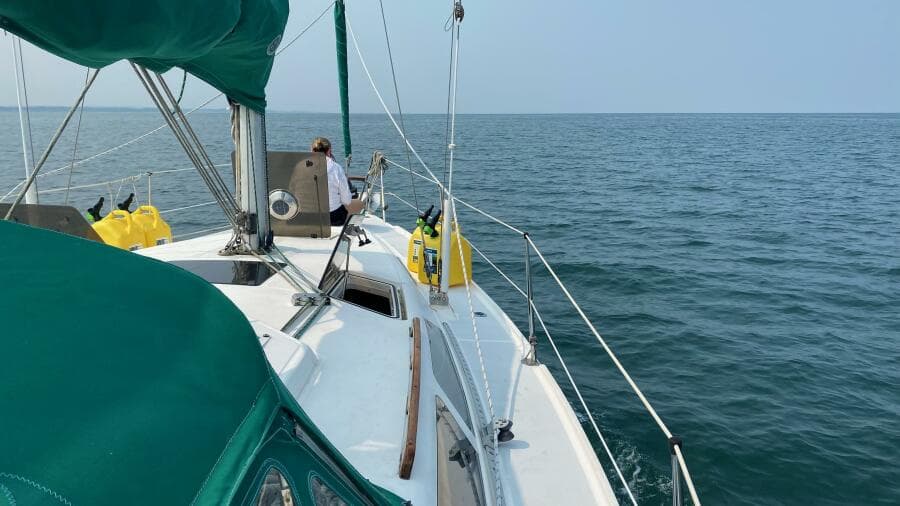 3B769019 376B 4D4B A795 95A85DE03666