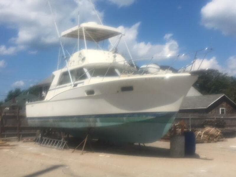 1973 Chris-Craft Tournament