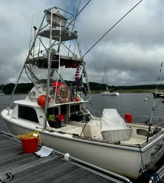 LITTLE EVA_Dockside Port