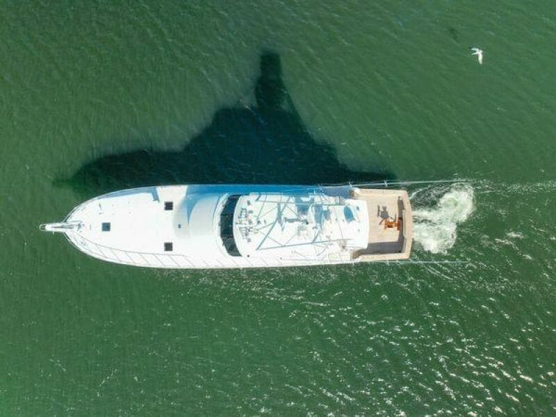 1997 Hatteras 90 - Photo 99
