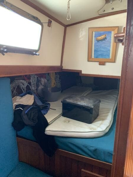 1979 Litton Perry 41