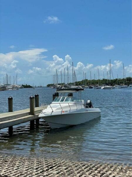 1993 Fountain Walk Around