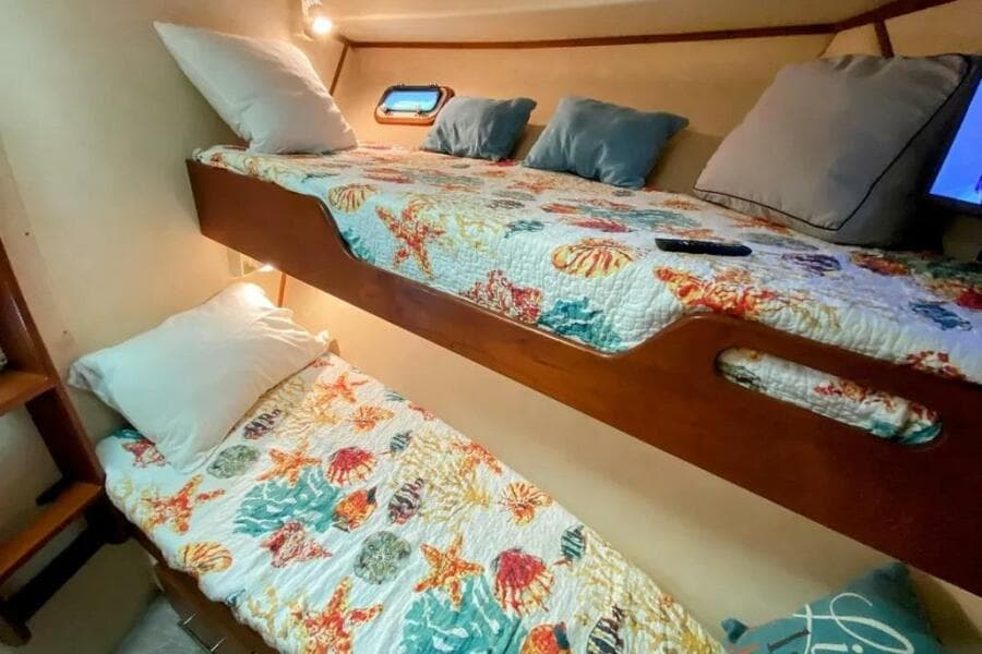 1986 Bertram 58 Flybridge Motor Yacht