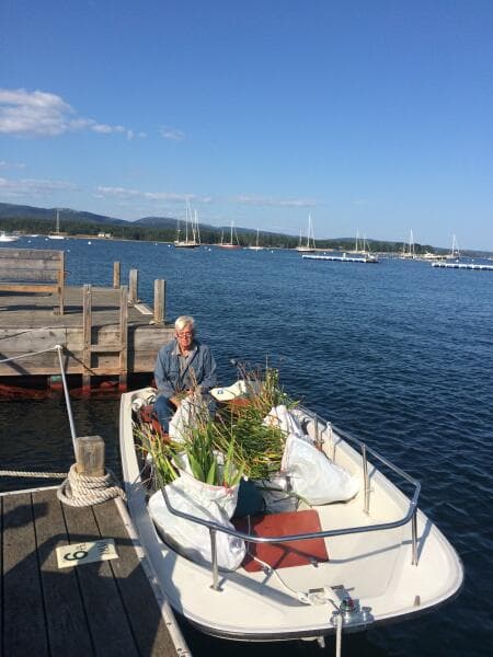 15' Boston Whaler Dockside