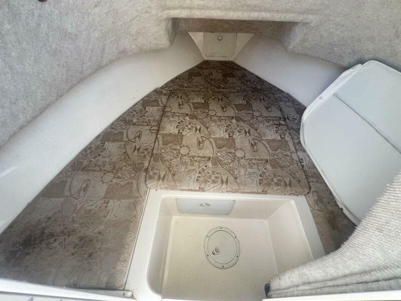 2005 Shamrock 220 Predator