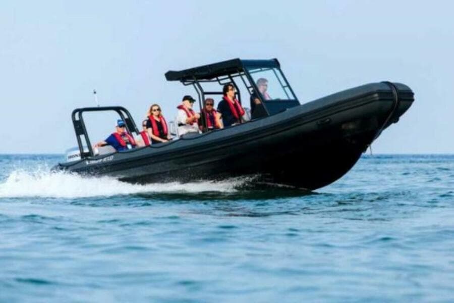 2024 Highfield Patrol 860