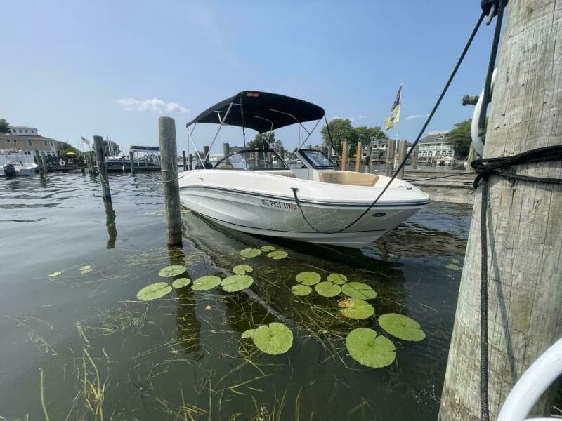 2024 Bayliner VR6 Bowrider Outboard