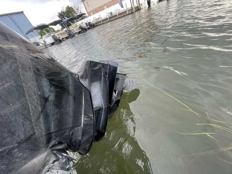 2024 Sea Ray SPX 230 Bowrider