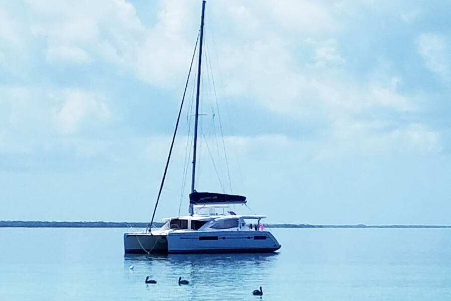 2015 Leopard  - Photo 23