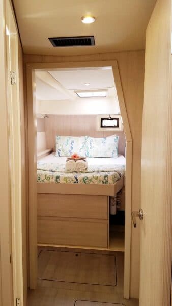2015 Leopard  - Photo 15