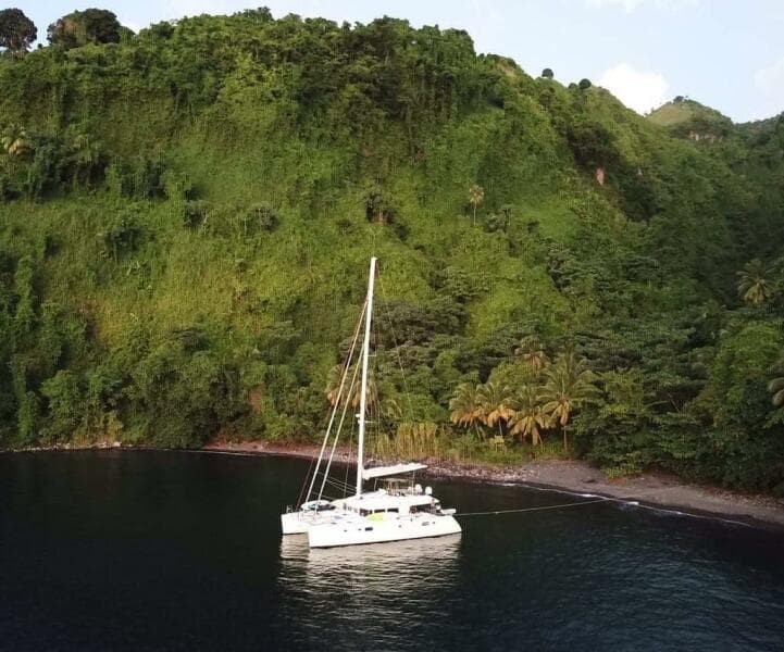2011 Lagoon  - Photo 79
