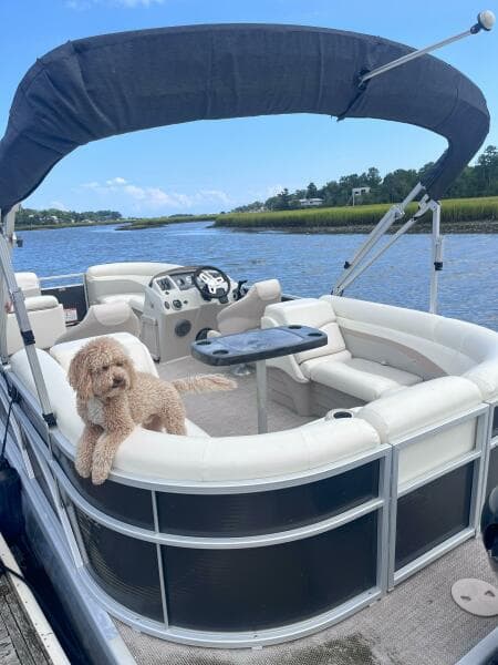 2017 Bennington 22SSRX