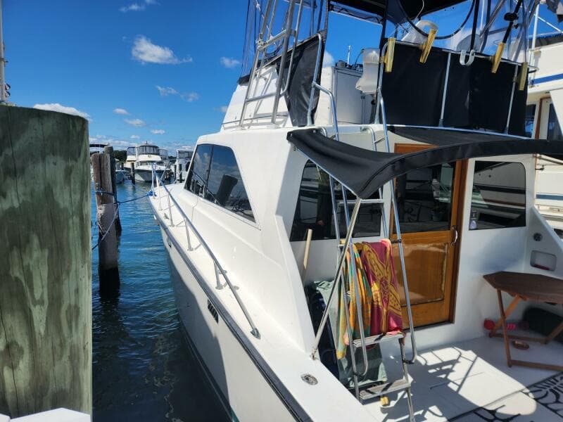 1977 Pacemaker Sportfish - Photo 3