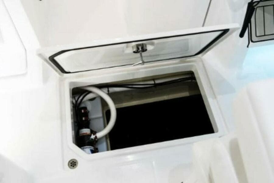 2025 Edgewater 262CX