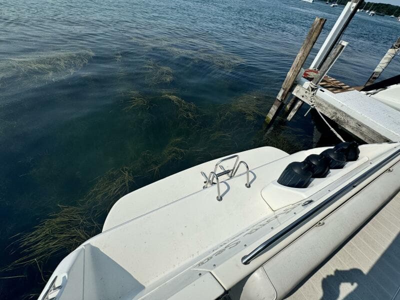 1995 Sea Ray Express Cruiser