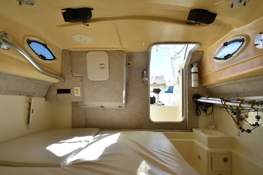 2003 World Cat 270 EC - Photo 6