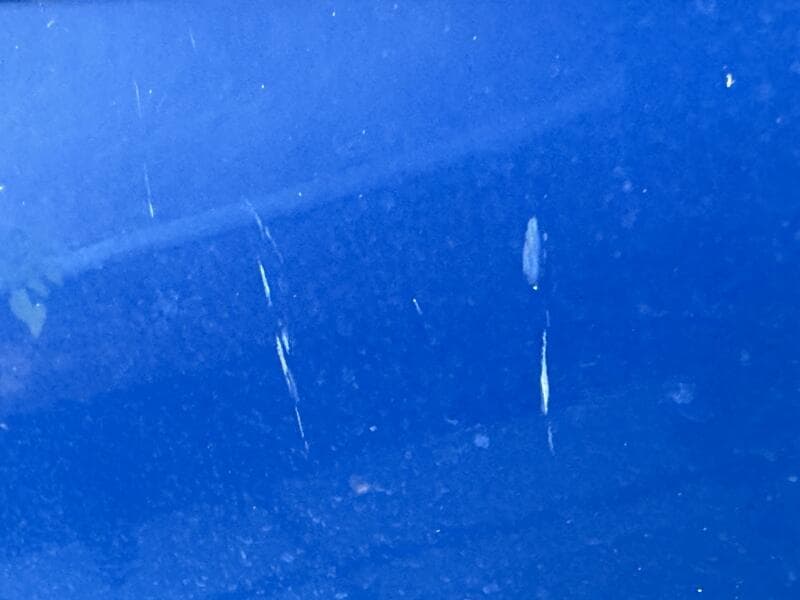 2006 Regal 3360 Window Express