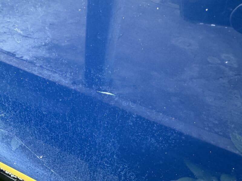 2006 Regal 3360 Window Express