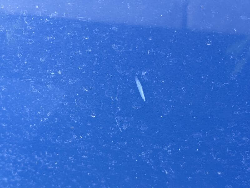 2006 Regal 3360 Window Express