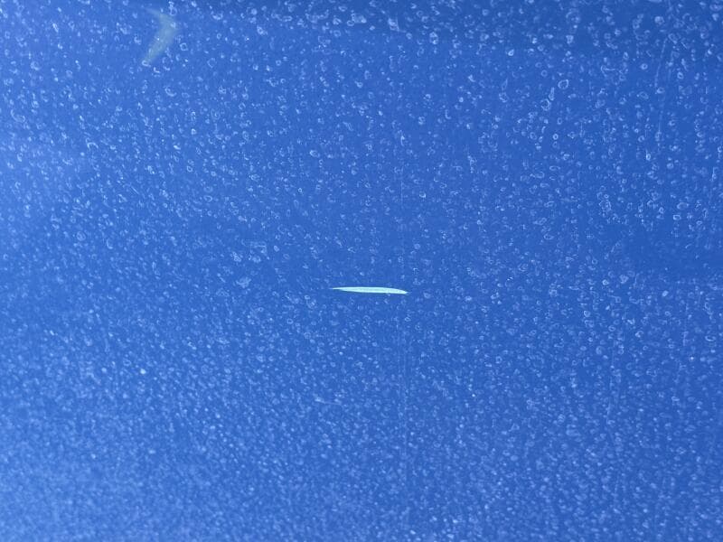 2006 Regal 3360 Window Express