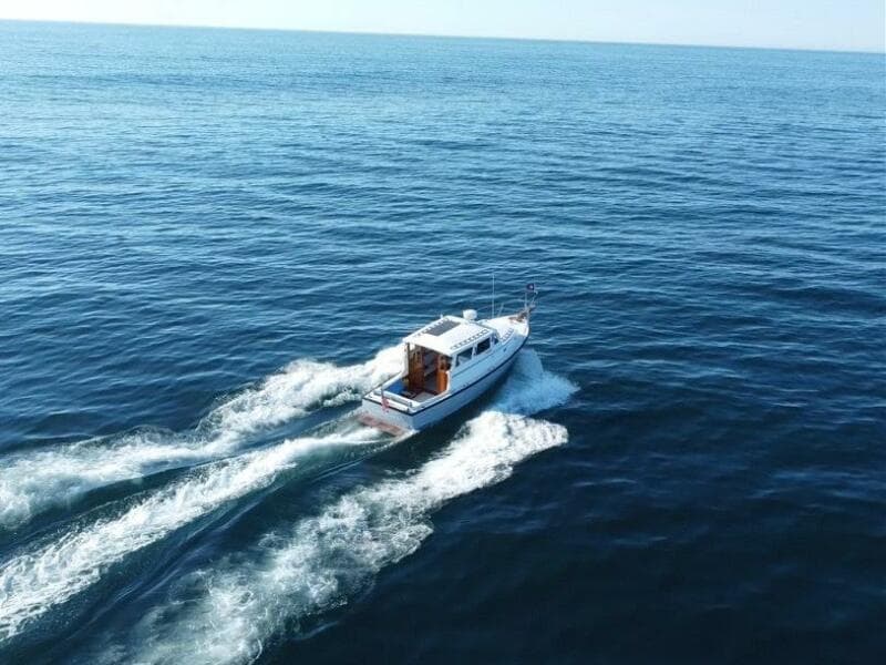 5 Ellis 28 On The Move